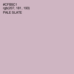 #CFB5C1 - Pale Slate Color Image